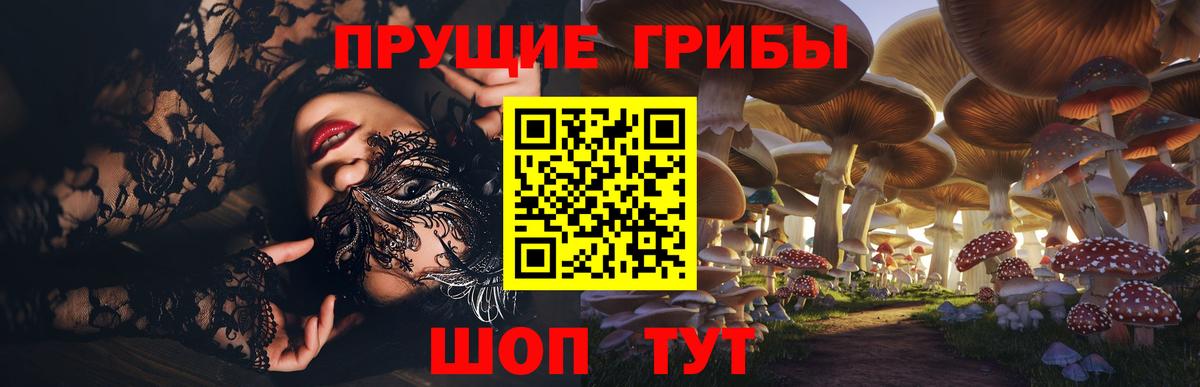 Псилоцибиновые грибы GOLDEN TEACHER Урус-Мартан